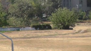 14.09.2025г скачка № 7