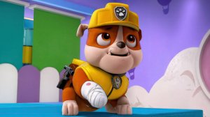 #ЩЕНЯЧИЙ#ПАТРУЛЬ#PAW#PATROL