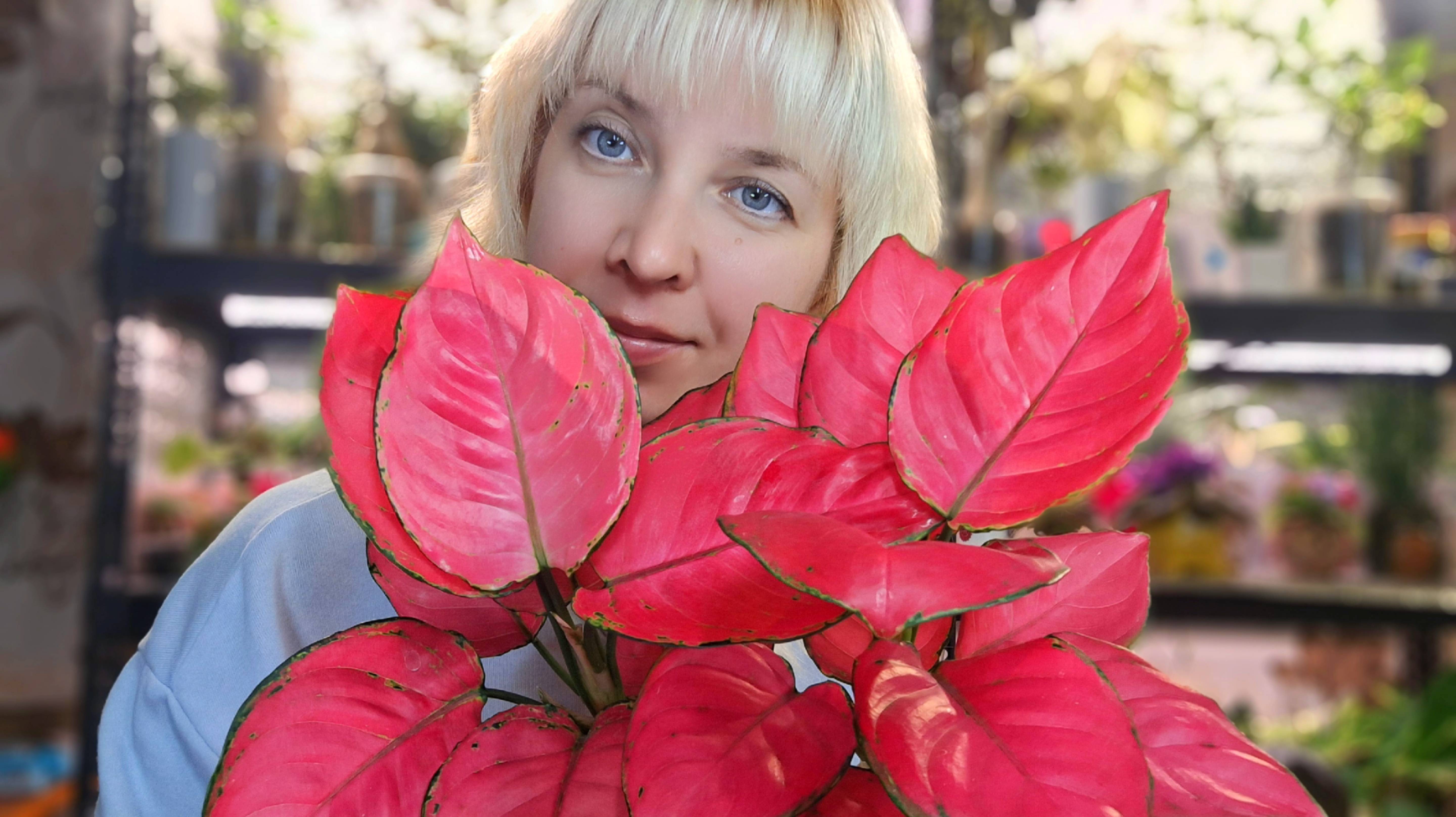 Растения, которые мне поднимают настроение этой осенью смотреть онлайн