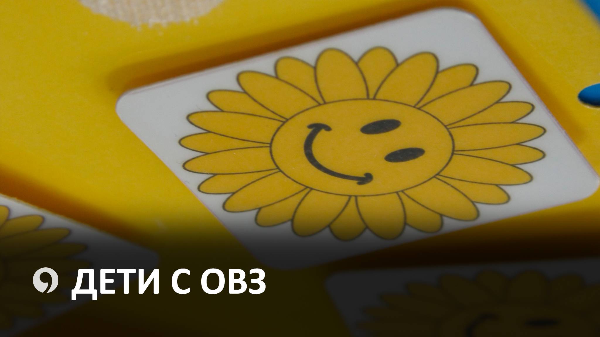 Как на Ставрополье помогают детям с ОВЗ? смотреть онлайн