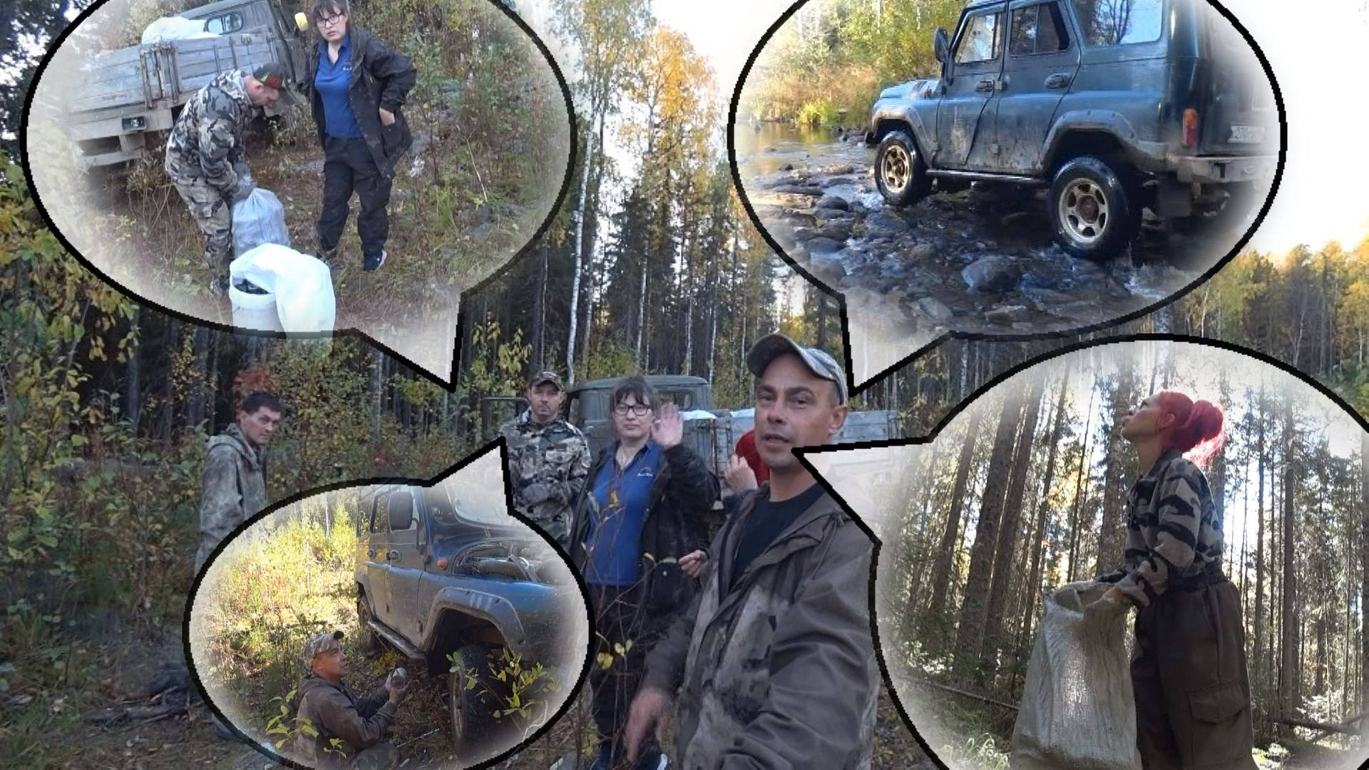 Сбор кедровой шишки на урале