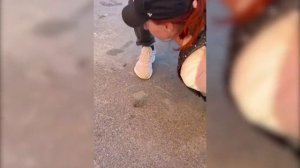 ФСБ сорвала теракт против главы предприятия ОПК в Петербурге