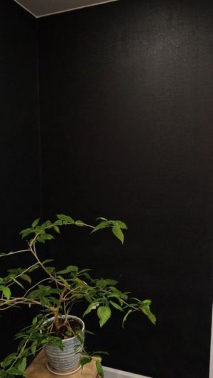 Она решила стать донором яйцеклеток