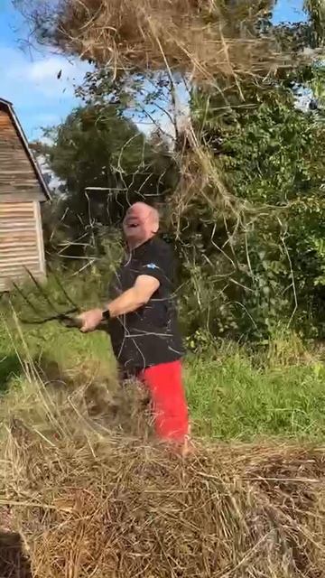 Дождь из сена смотреть онлайн