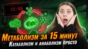 Мы то, что мы едим | Все про метаболизм за 15 минут | Биология ЕГЭ |Умскул
