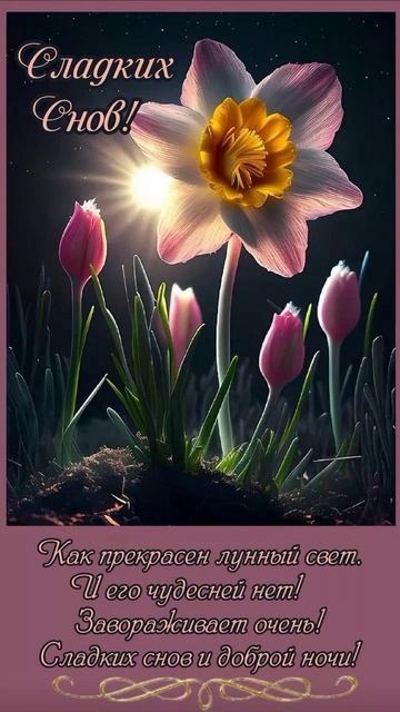 МУЗЫКАЛЬНАЯ ВИДЕООТКРЫТКА ДОБРОЙ НОЧИ 1.mp4 смотреть онлайн