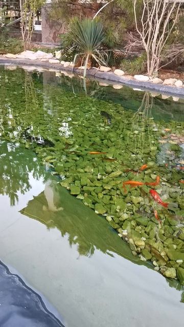 "Яркий берег" смотреть онлайн