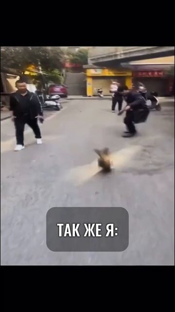 Причина, по которой я езжу на рыбалку