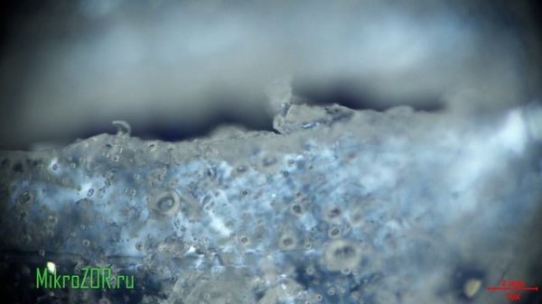 Эпоксидная смола + Полисорб: химическая реакция с поляризационным микроскопом