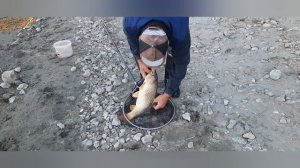 Рыбалка на Дону. Калач на Дону!!!