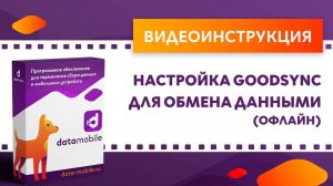 DataMobile. Настройка Goodsync для обмена данными (офлайн)