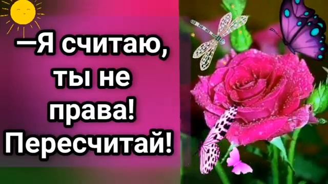 🤣Анекдот из Сыктывкара смотреть онлайн
