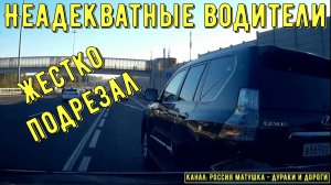Неадекватные водители и хамы на дороге #784! Подборка на видеорегистратор!