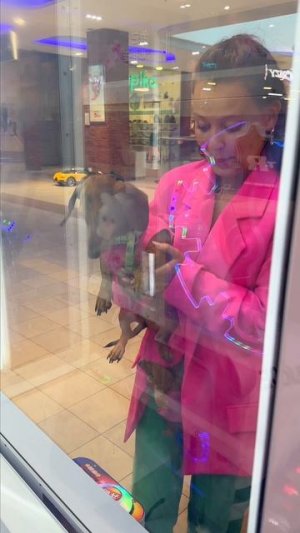 ЭЛИ ВЕЗУНЧИК