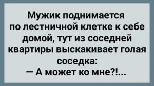 Соседка Хочет Заманить Мужика! Сборник Свежих Анекдотов! Юмор
