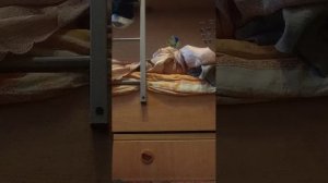 с маинкрафт 8