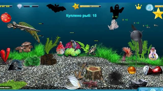 Мой игровой аквариум #4 с Хищными рыбами. Кормление хищников гуппяшками/ День 430 смотреть онлайн