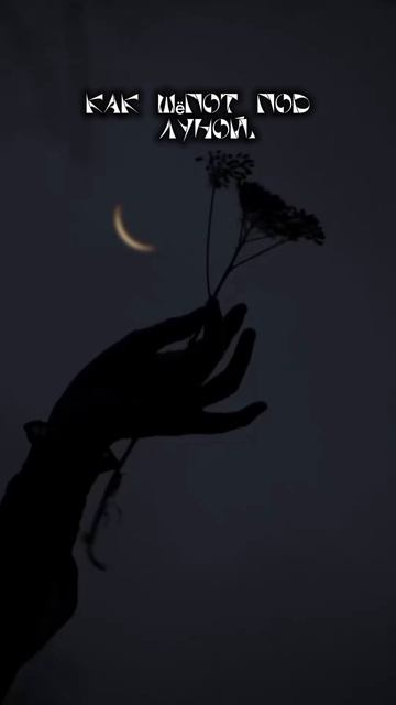 Шепот под луной_Йена Чиж.mp4