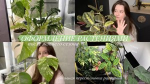 Расставляю Растения в квартире || оформление дома, обработка, новая лампа и стеллаж