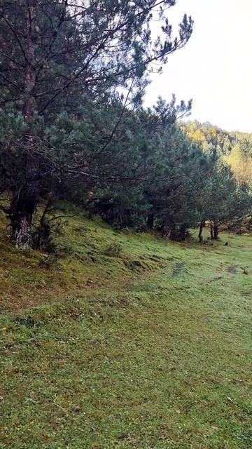 Китлярта смотреть онлайн