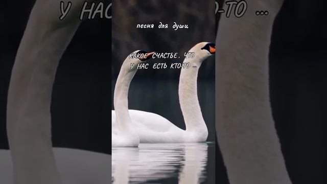 Как хорошо, что у нас  у всех есть  
Кто-то..!