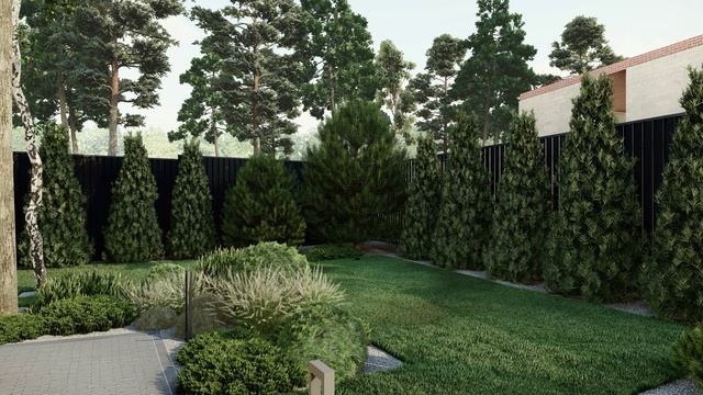 Дневная видео прогулка по участку в Московской области