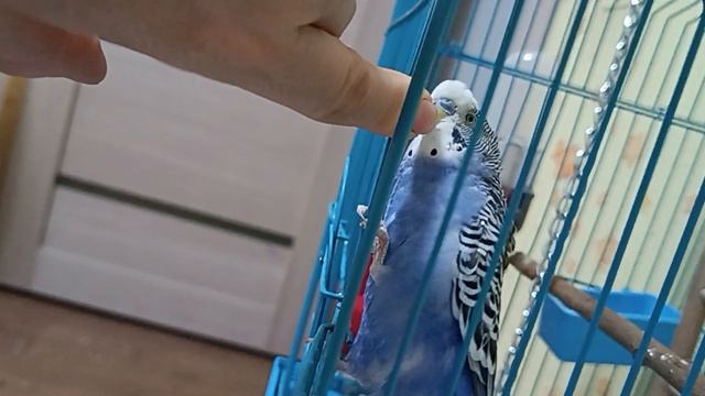 Кроша говорит смотреть онлайн