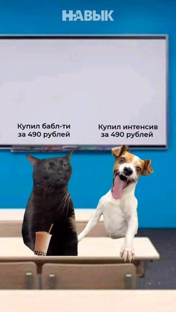 Бабл-ти VS Интенсив