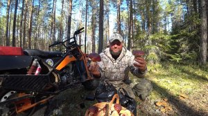 ГРИБНОЙ СПЕЦЗАКАЗ! КАК СОБРАТЬ ГРИБЫ,  КОГДА МНОГО НАРОДУ!? ЗАРАБОТАЛ ДЕНЕГ НА БОРОВИКАХ .