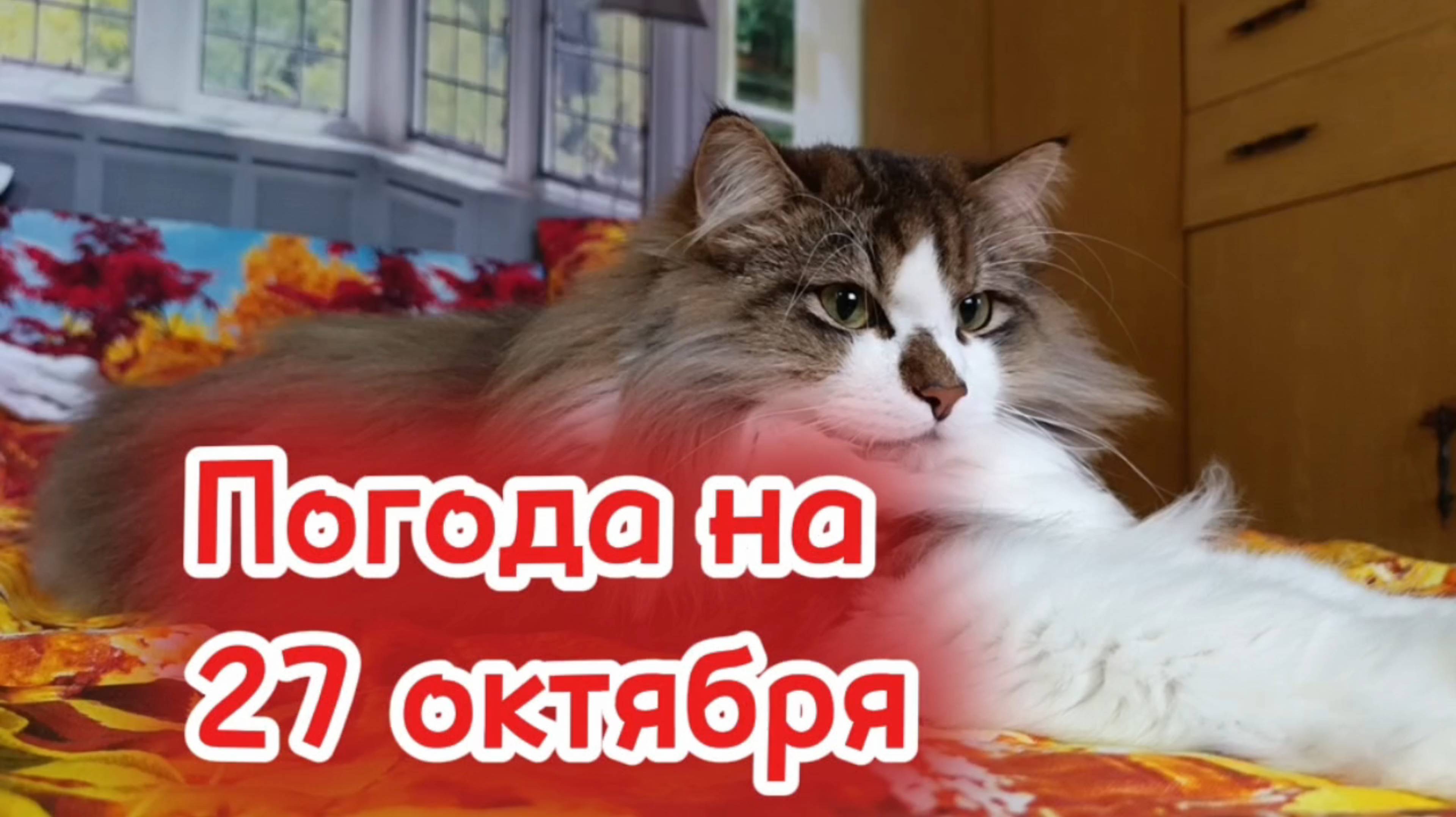 ПРОГНОЗ ПОГОДЫ НА 27 ОКТЯБРЯ смотреть онлайн