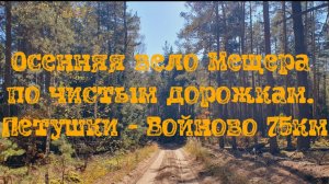 Осенняя вело Мещера по чистым дорожкам. Петушки - Войново 75км
