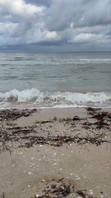 Осень #черноморское #крым2025 смотреть онлайн