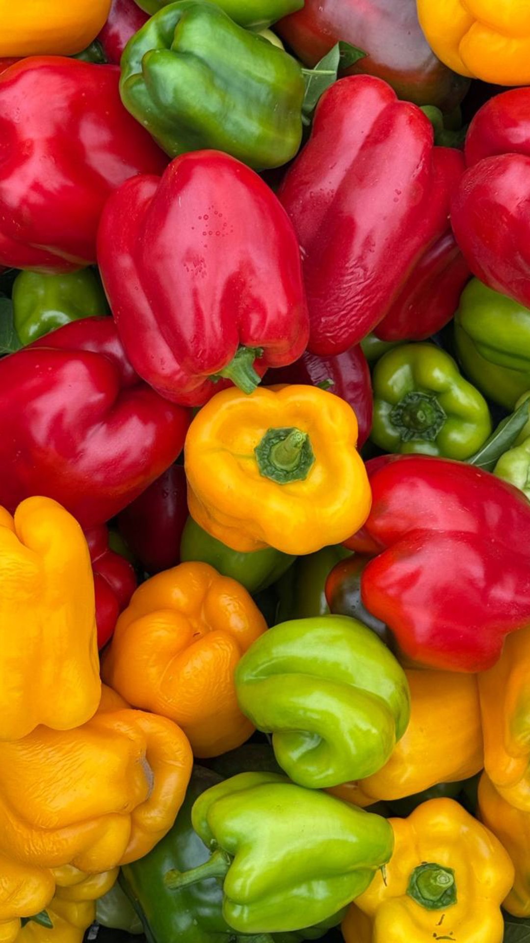 СКОЛЬКО ПЕРЦЕВ ПОЛУЧИТСЯ СОБРАТЬ С ПЯТИ КУСТОВ? смотреть онлайн