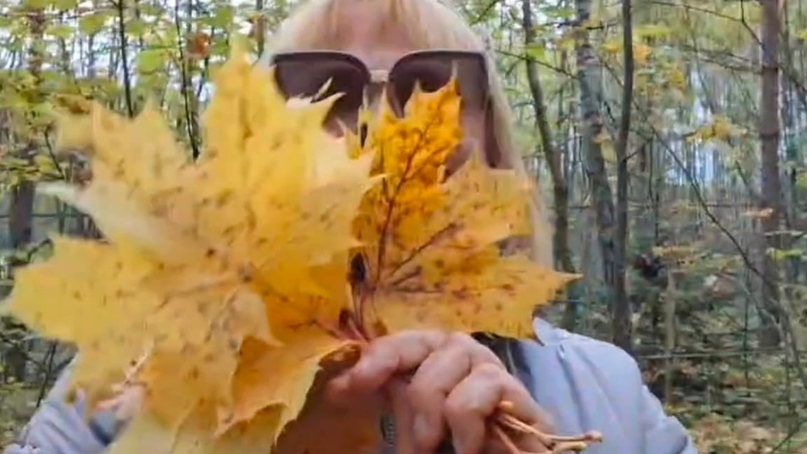 Нагулялась по осеннему лесу.... смотреть онлайн