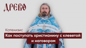 Как поступать христианину если он столкнулся с клеветой или наговором /// иерей Димитрий Бугунов