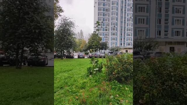 Moscow, Otradnoye district 27.09.2025