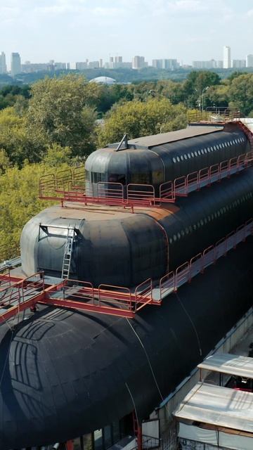 2022_Тараканов Дамир