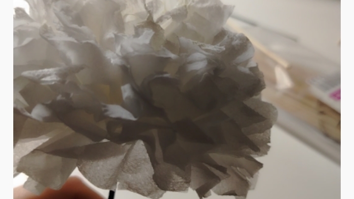 ПИОН (своими руками)