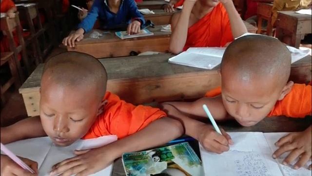 Traditional Education vs Online Courses Which Learning Method is More Effective смотреть онлайн