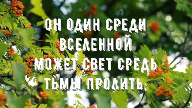 Что за Друга мы имеем - минус мой 4 смотреть онлайн