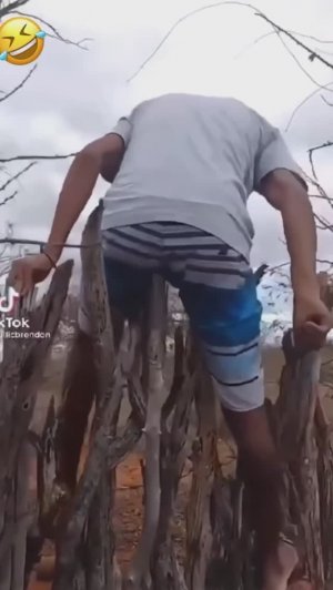 Даже смотреть на них больно