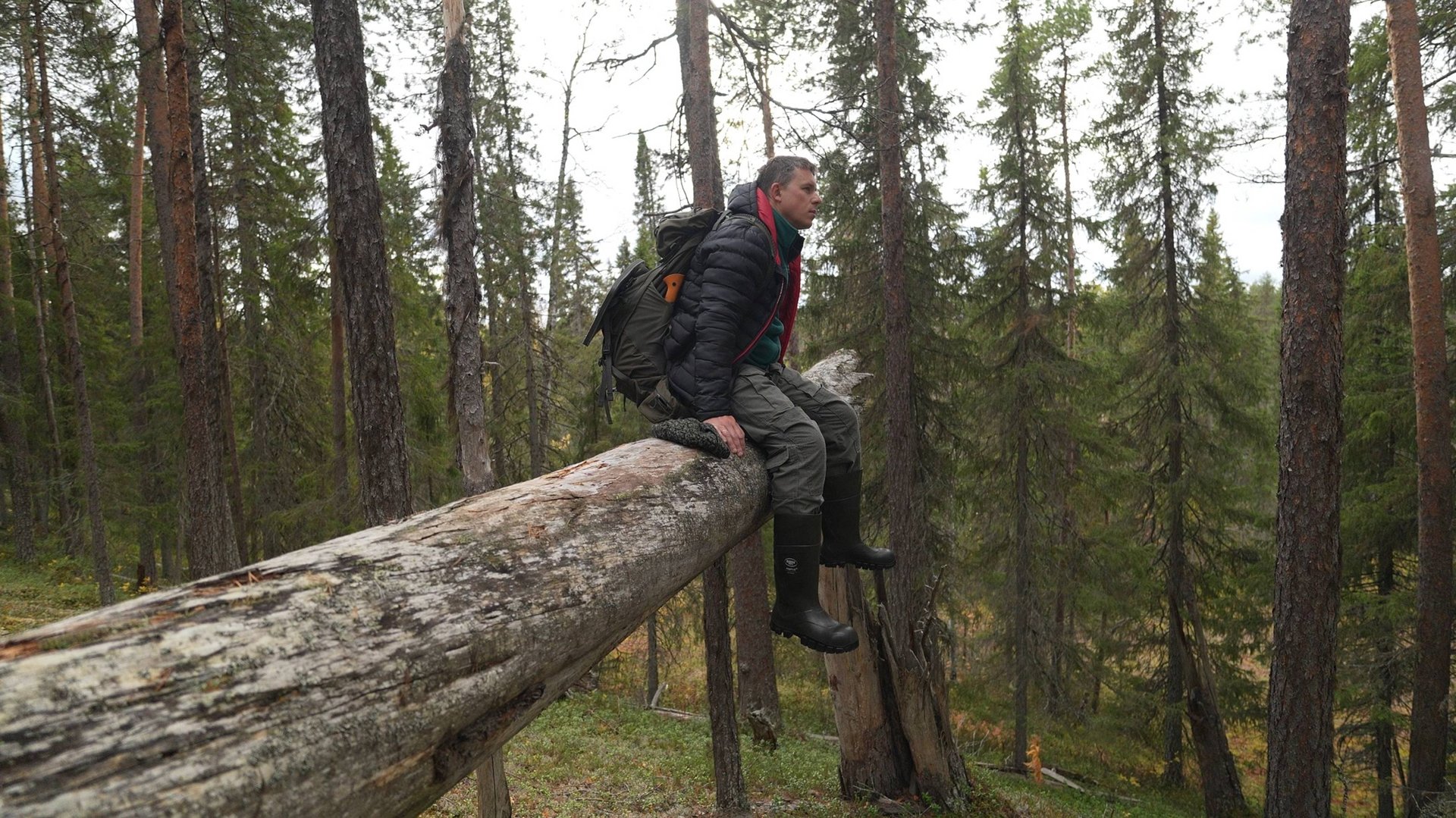 Стройка. Пеший поход на таёжную речку. смотреть онлайн