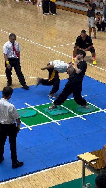 Как же разнообразен мир единоборств смотреть онлайн