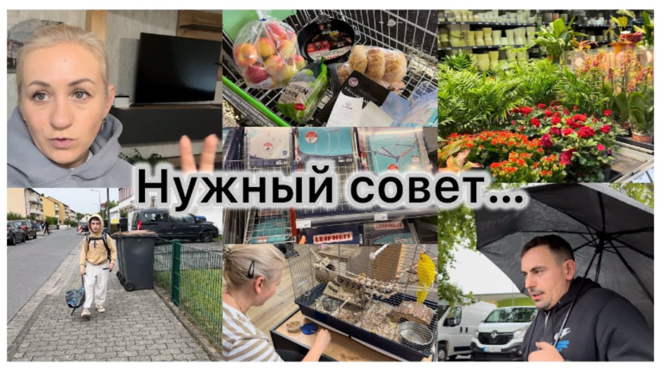Выбираю сушилку ✔️ покупки в Globus 🛒 странный сон ✔️ его ни что не учит ✔️ лакомство для 🦜 Влог смотреть онлайн
