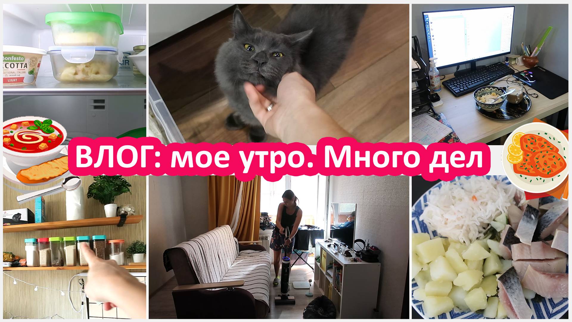 Много дел фриланс. Мое утро. Влог с мурзиком
