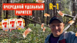 ОЧЕРЕДНОЙ УДЕЛЬНЫЙ РАРИТЕТ!