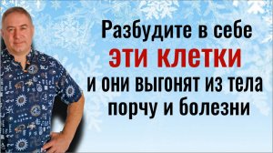 Разбудите в себе эти спящие клетки и они выгонят из тела порчу и болезни. Мощная практика медитация
