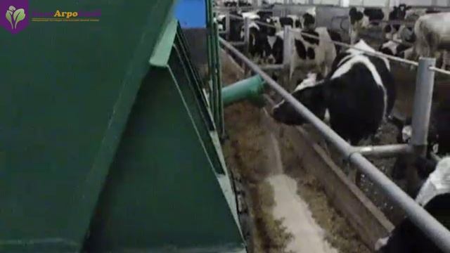 Раздатчик сыпучих кормов РСК-2,8М смотреть онлайн