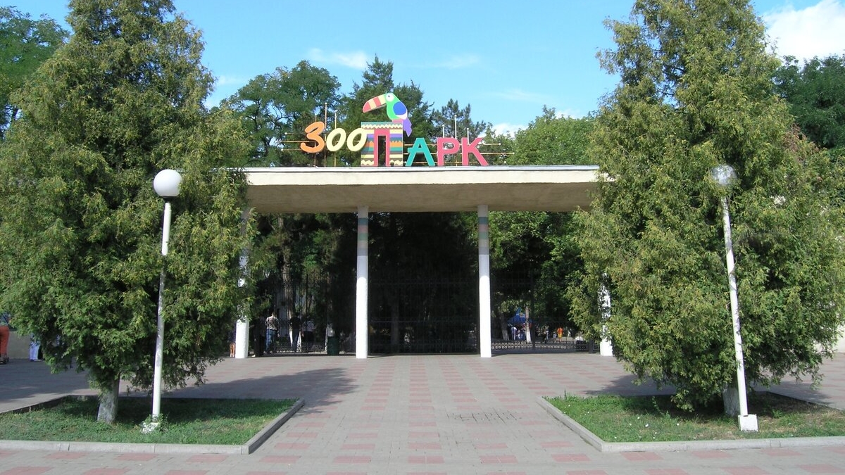 РОСТОВСКИЙ ЗООПАРК. СЛОНЫ. НОСОРОГ. (продолжение следует!) следующее Белочки в теремке. смотреть онлайн