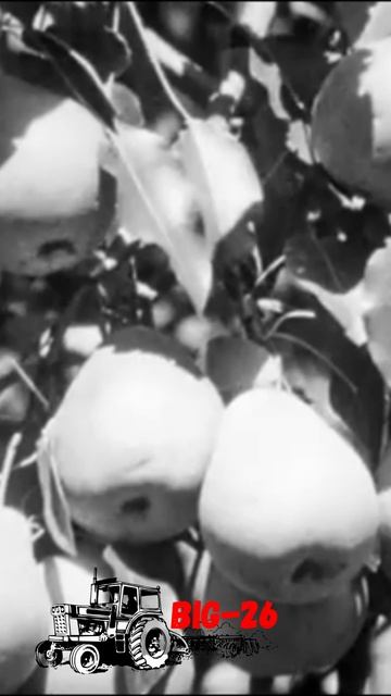 Как жили и работали люди в СССР смотреть онлайн